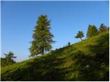 Planina Jezerca - Košutna